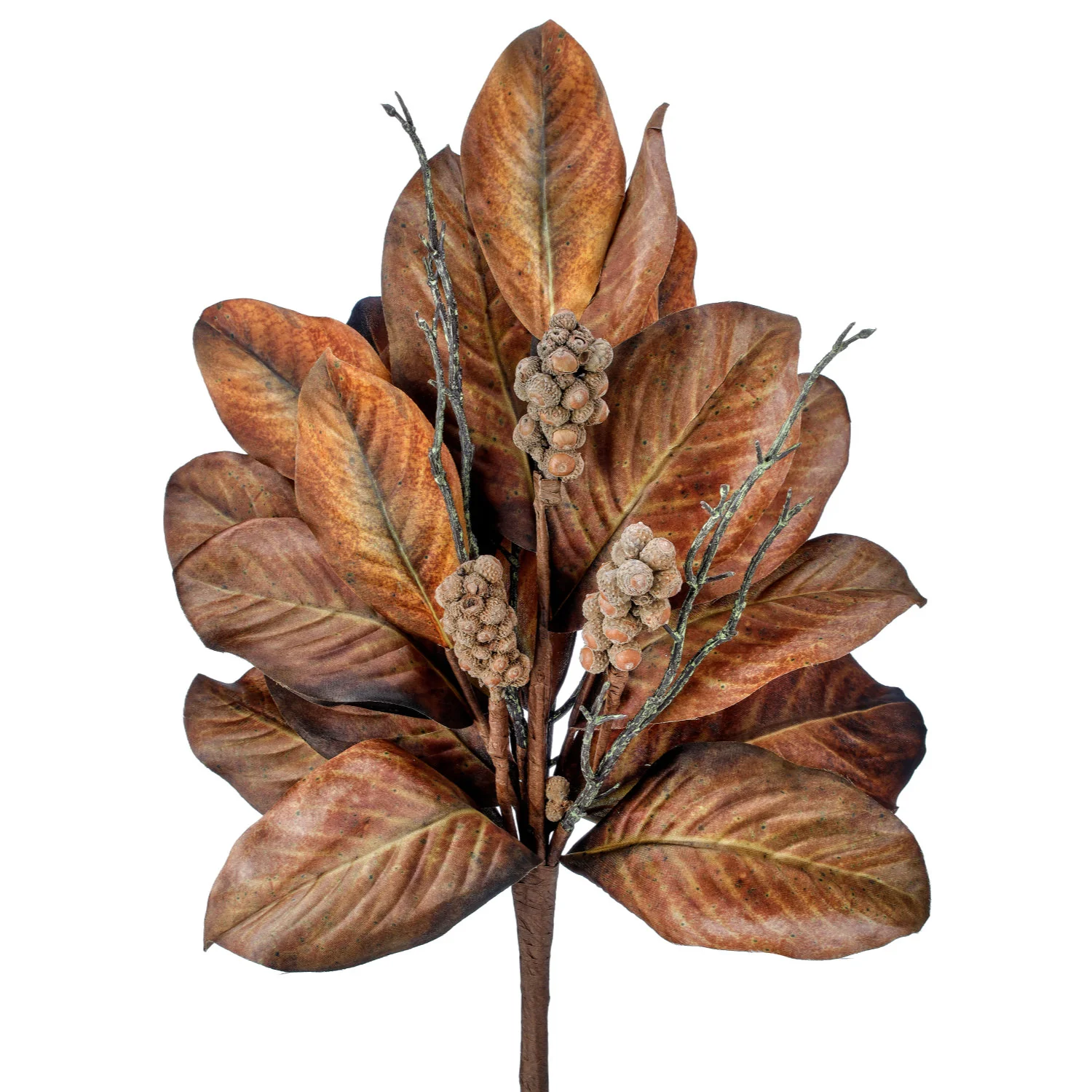 24" Harvest Magnolia Bush - Image 2