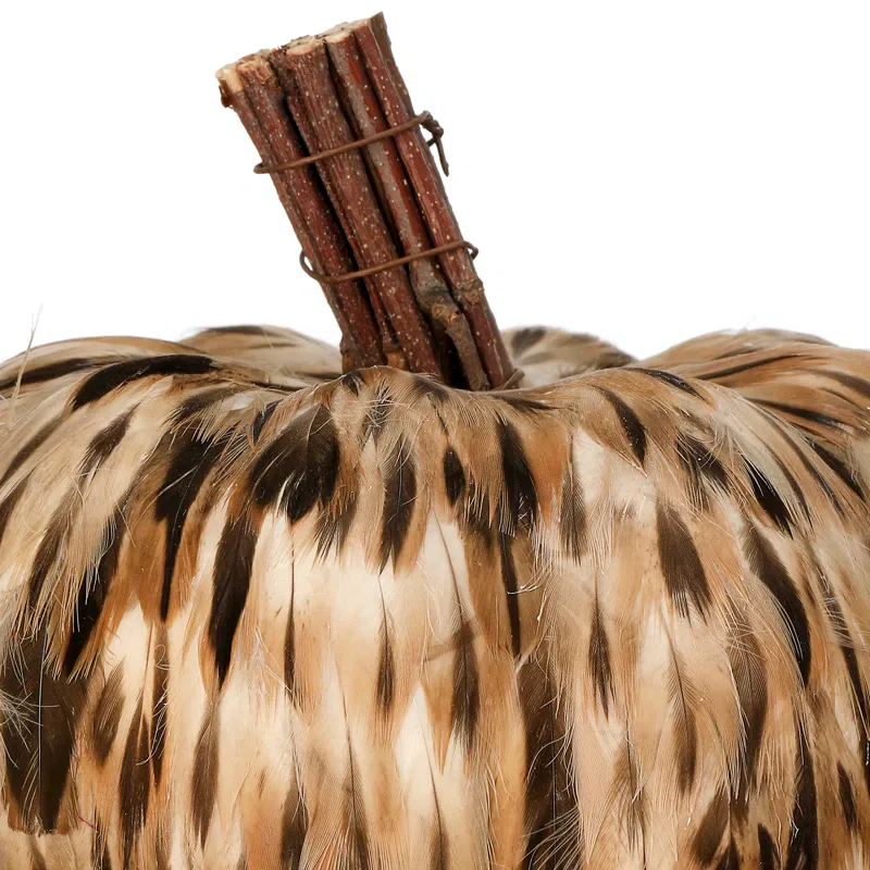 Natural Feather Pumpkin, 5.5" - Image 3