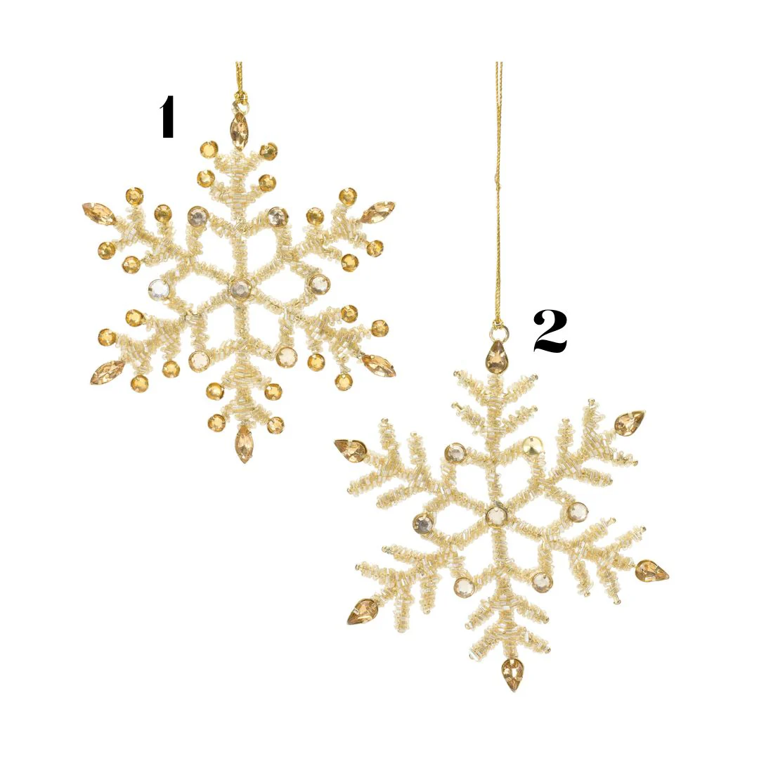 5.5"H Iron/Glass Snowflake Ornament (2 styles - sold individually)