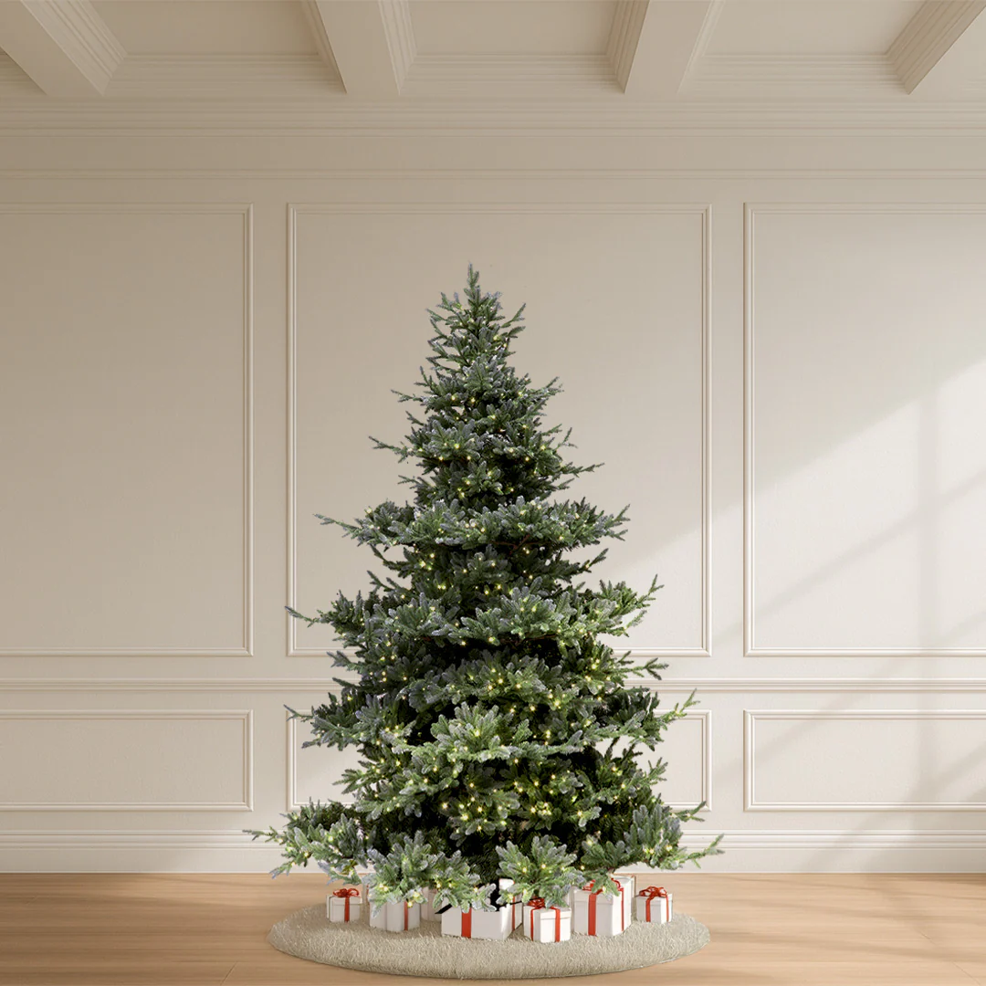 Jackson Fir Tree, LED Lit, 6.5'