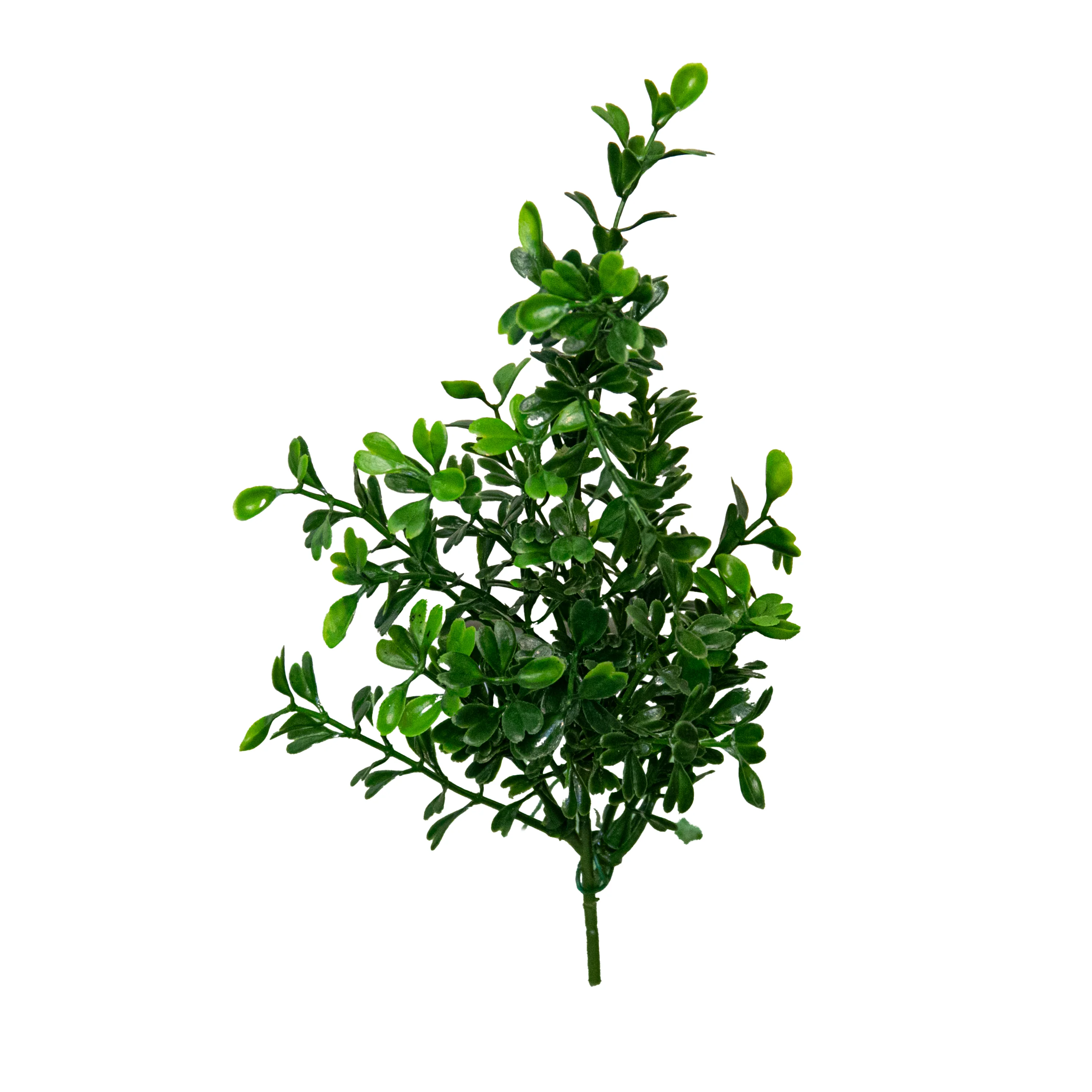 Boxwood Spray, 11.8"