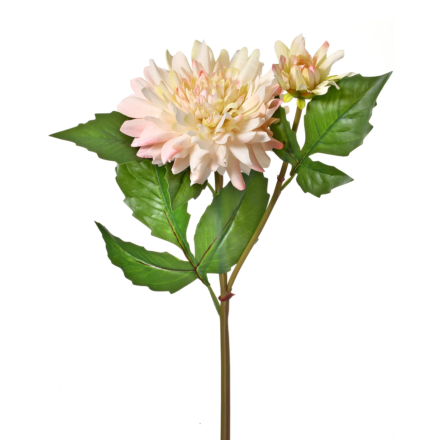 Just Cut Dahlia With Bud 21"