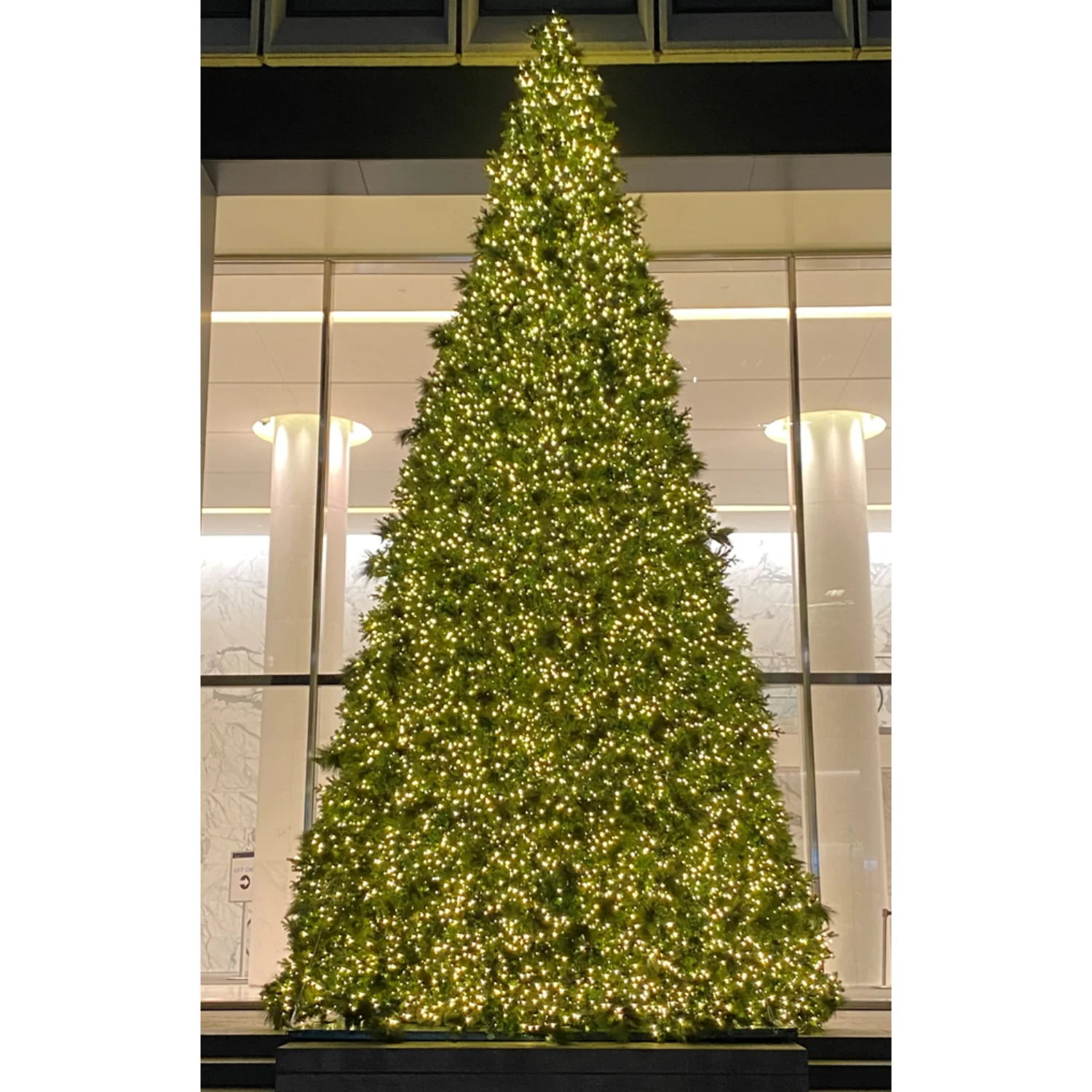 Olympia Pine Artificial Christmas Tower Tree, LED Lit (Warm White), 12ft to 60ft