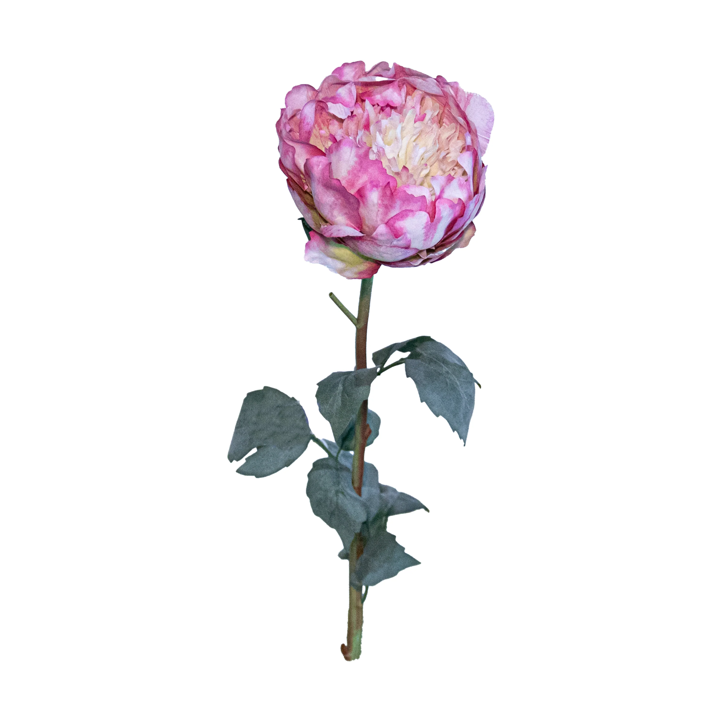 Peony Spray, Fuchsia/White, 30.7"