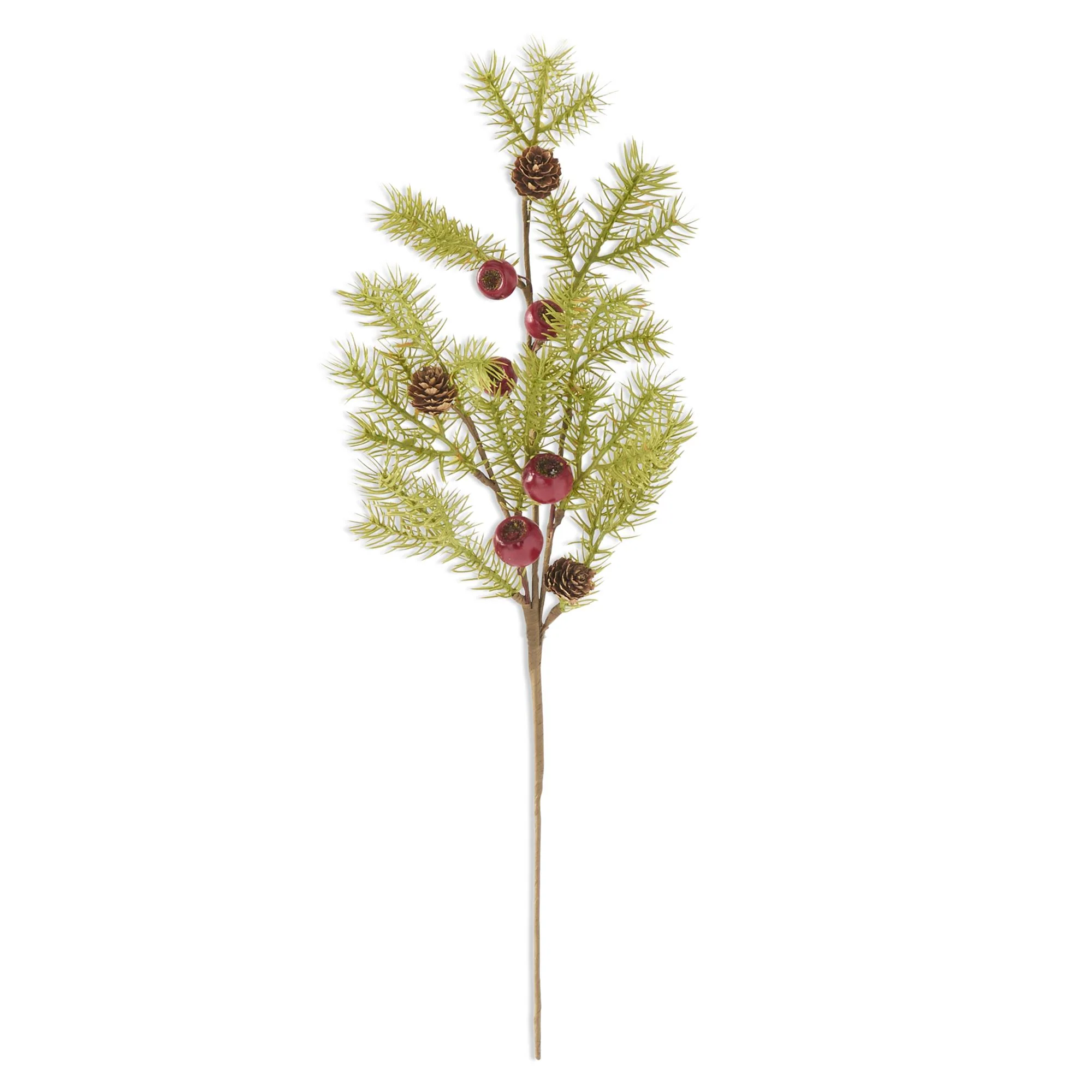 Pine Stem w/Red Pods & Mini Pinecones, 22"
