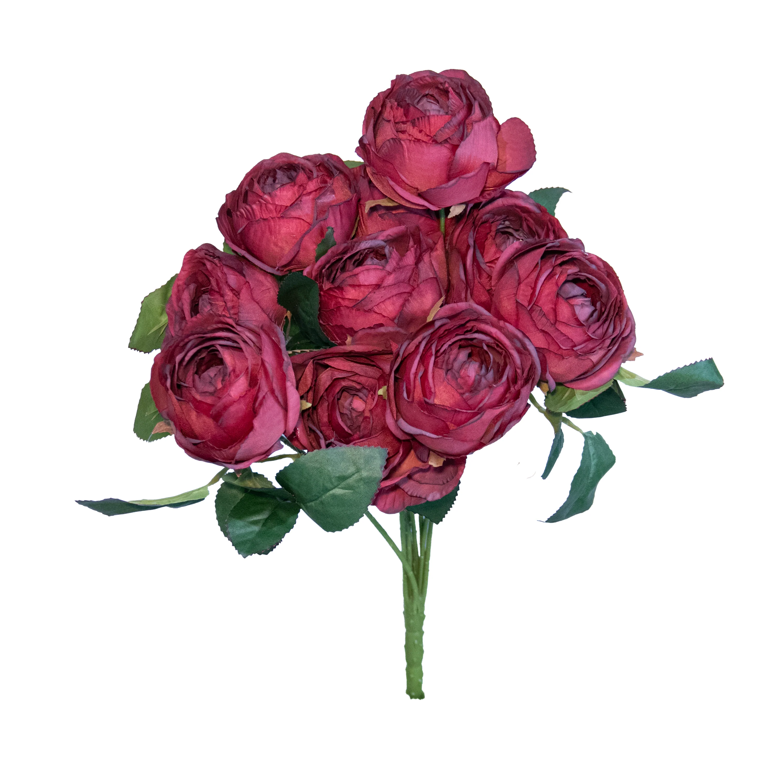 Rose Bush x 10, Burgundy, 19"