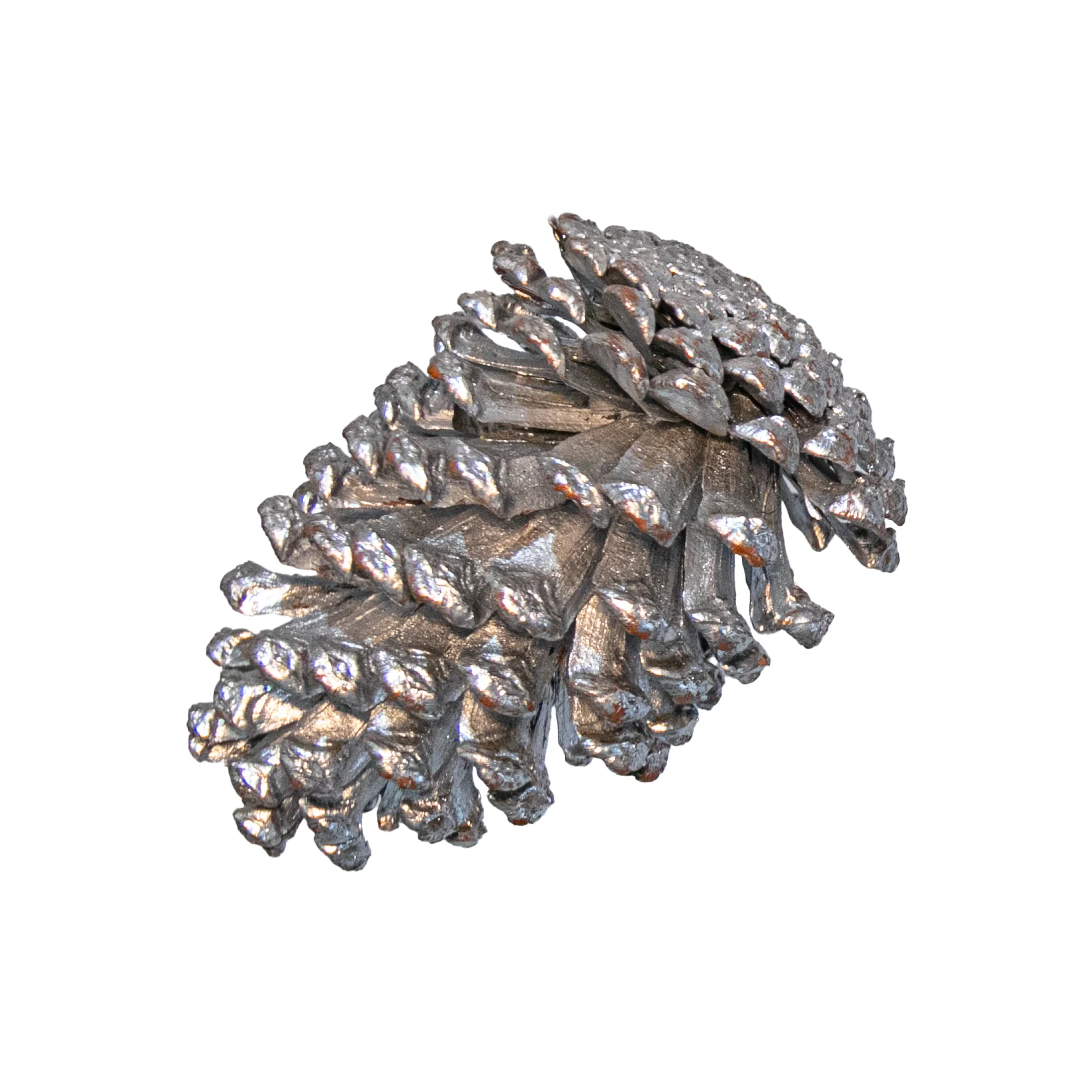 Pinecone, Silver, Large, 5" - 6"