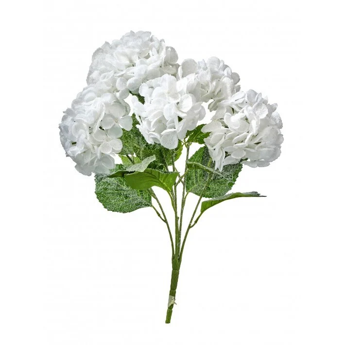 Snow Hydragnea x5 Bush, 23" (White Snow)